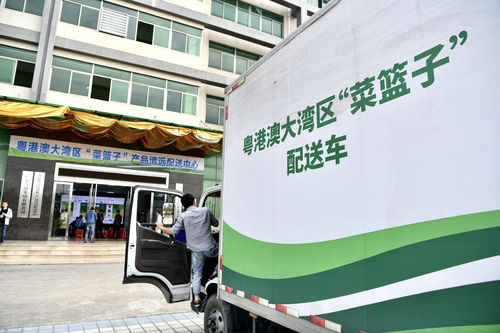 8月第一周，清遠(yuǎn)城市配送關(guān)鍵詞聚焦“菜籃子”保障力
